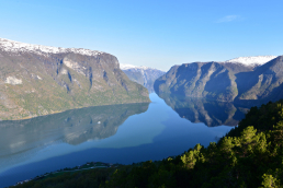 Breathtaking fjord cruise